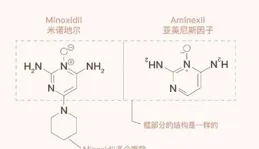 年輕人應該如何預防脫發？