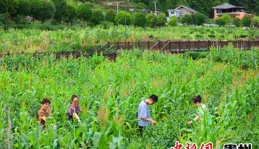 高溫催熱貴州梵凈山西麓「清涼」漫遊