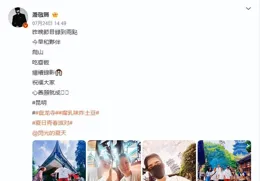 最近雲南也太熱鬧了！周迅、蕭敬騰、劉憲華、楊迪、金晨…都來了