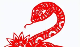 這三位生肖：一生有二段婚姻，難逃二婚命，那三位呢？