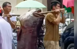 笑死了！警察：這麽大魚怎不裝起來？釣魚佬：是的32斤！自己釣的