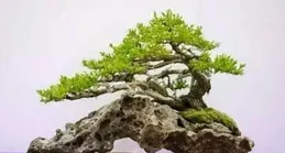 人生的四重真相，直抵人心