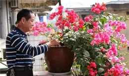 長期吃外賣還喝飲料的人，後來身體怎麽樣了？醫生說出答案