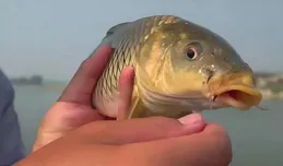 釣魚總空軍？試試這四大秘訣，也許你就是下一個「河冠」