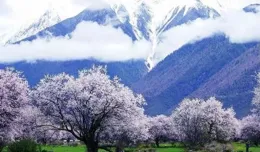 點亮心中的燈塔，照亮前行的路