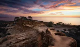 8-10月，添喜添財添富貴，福氣滿滿，狗屎運較旺的4個生肖