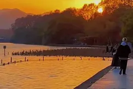 其實你不是懶，而是能量太低了，幾個提升能量的快速方法