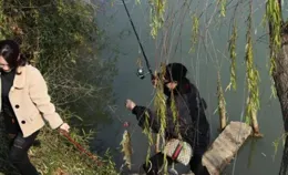 垂釣熱潮：釣魚人數激增之謎