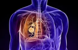 煙酒不沾壽命更長？北大研究：不抽煙、不喝酒可大幅延長國人壽命