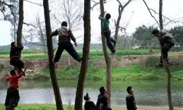 「殺魚弟」孟凡森：9歲一夜爆紅，為何17歲毅然喝下百草枯？