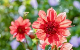 無法重來的一生，好好珍惜！