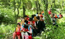 每天學習一種植物——龜背竹