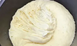 冷凍饅頭不能吃，超過3天就會長黃曲黴素？不敢吃的來看一下