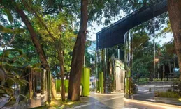 福建一獨居女生因在「客廳種大樹」走紅，驚艷到了妥妥的視覺盛宴