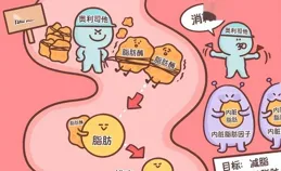 一胖毀所有？不，被你嫌棄多年的脂肪，其實好處不少！