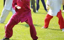 日本如何看待中國武術？大成拳和八極拳成最強實戰之選