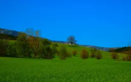 潔癖讓你大開眼界的星座，不管居家還是出門在外都收拾的一塵不染