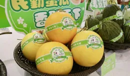 組圖丨2024年民勤特色農產品推介暨蜜瓜全網發售儀式在北京舉行