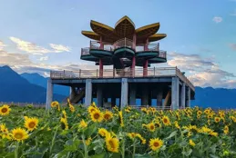 秘境墨脫 格林茶香