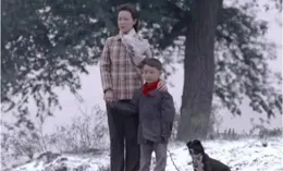 【平凡的世界】:少平最後會選擇惠英嫂，原因很簡單，平凡的幸福