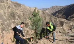 黃土高原為什麽不植樹造林？