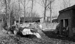 插隊三年，我為了他紮根農村，但是我不後悔並且還很慶幸