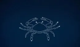 靠山吃山，靠海吃海！巨蟹座晚年能依靠的人是誰呢？