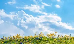 憂愁時時在，放下即刻消！18 句心寬不愁，未來一路順暢無擾