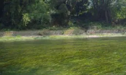 溪添半篙綠，山可一窗青，他畫出了春天的光彩