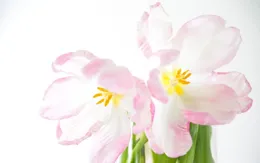 人到中年，真的不能和兄弟姐妹走得太近