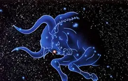 十二星座2024年8月運勢：追光而遇，沐光而行