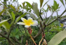 一個人暴露出這3個背叛動機，證明：不想離！原配要懂