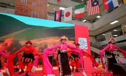 「一帶一路」第六屆新加坡國際文化節武術大賽成功舉辦