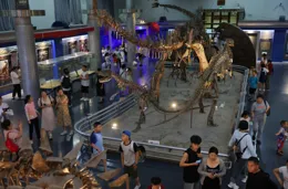 國家自然博物館「博物館之夜」活動開啟，「非遺彩燈展」同日亮相