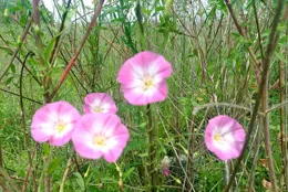 是時候告別苦情式育兒與負疚式盡孝了