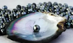 國產表做原創有多難？