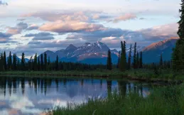 心眼很多，但沒壞心眼的三大星座