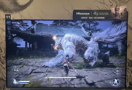 【黑神話：悟空】100寸裝備「海信電視 E8N」大屏+專屬模式，能為遊戲玩家帶來多少體驗加成？