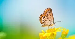 人要看淡，心要放寬（好文）