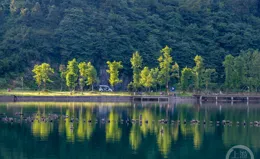 「盛夏」（363） | 上遊主題攝影征稿作品展——梁本儉作品