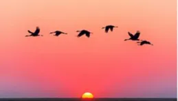 一生很長，和誰在一起真的很重要