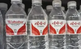 宗馥莉傻眼了，啤酒還在研究中，網友已經把包裝及宣傳片都弄好了