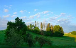 天蠍座：３天後，愛情復燃，真情告白，再續前緣，幸福美滿！