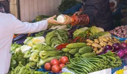 腸胃「最愛」的豆？醫生：每周吃一次護腸養胃，增強免疫，促健康