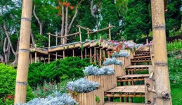 胸中有詩意，時光何曾老，心中有真情，歲月自成香。