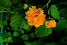 有些事情，要等到你漸漸清醒了，才明白它是個錯