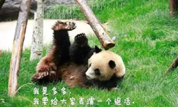 飛行嘉賓來啦 動物界「做客」警營