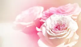 一個女人過得好不好，看幾個細節就知道，藏不住