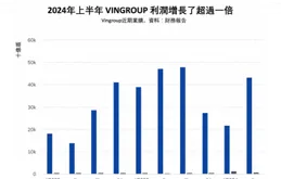 越南股市群像，從焦點到墜落