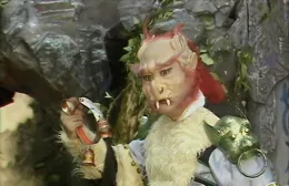 曼陀羅花：美麗背後的致命陷阱